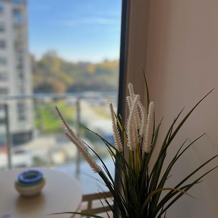 One Apartments Nordone Iulius Town 蒂米什瓦拉 外观 照片
