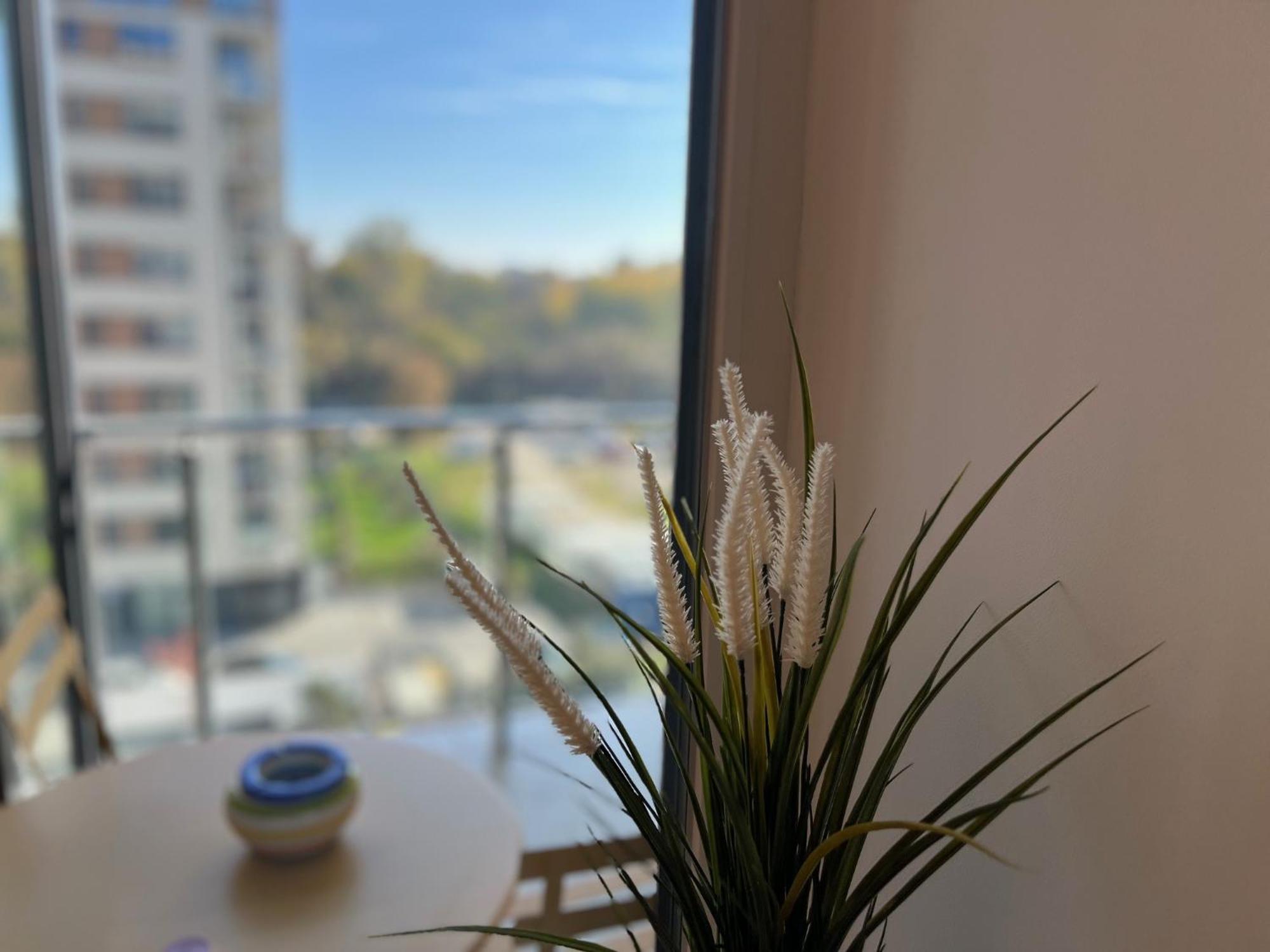 One Apartments Nordone Iulius Town 蒂米什瓦拉 外观 照片